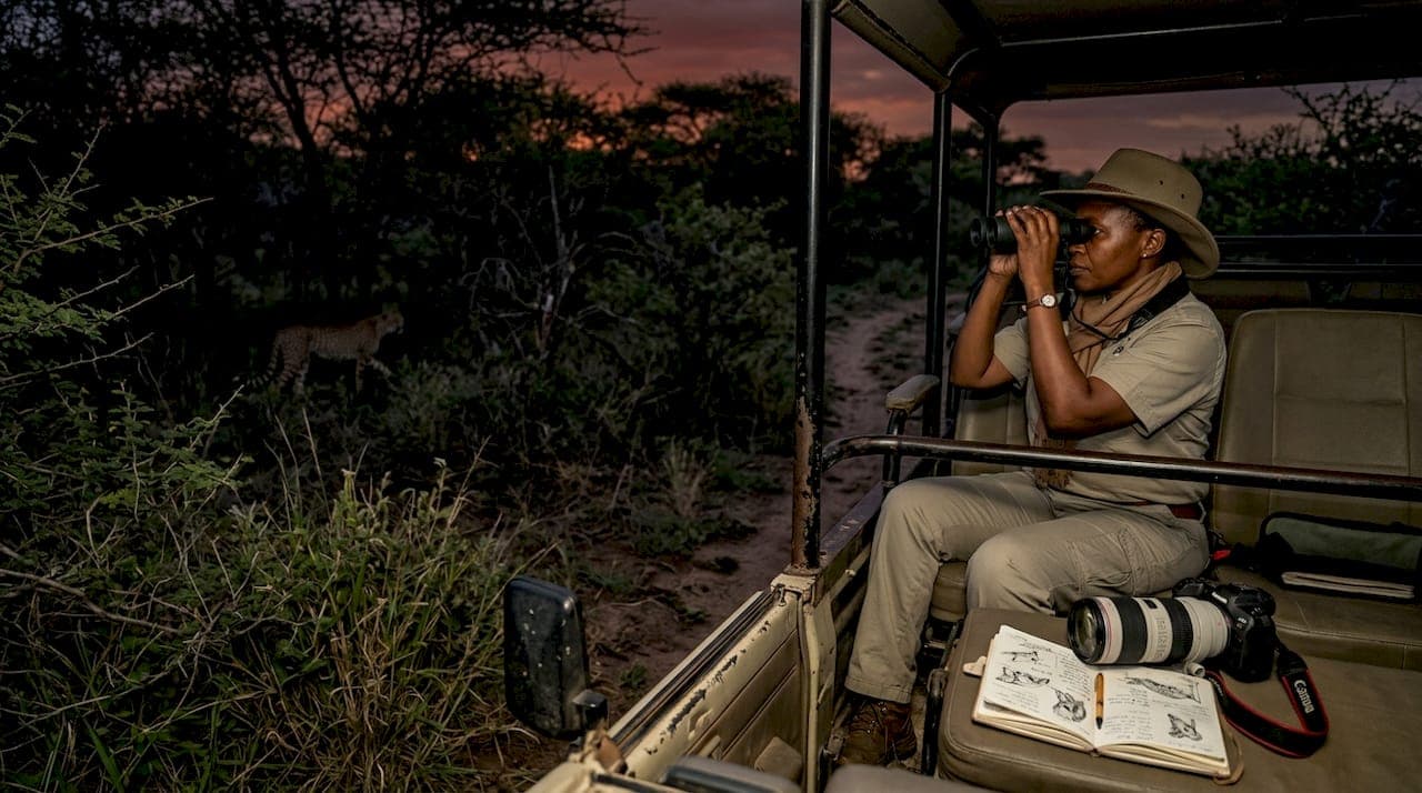 Safari-Dämmerungsfahrt: Wildtierverhalten im Zwielicht