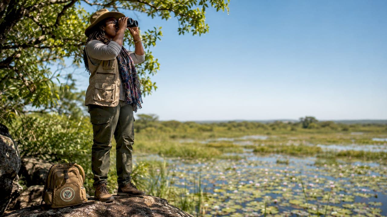 Birdwatching in iSimangaliso Wetlands: Step by Step