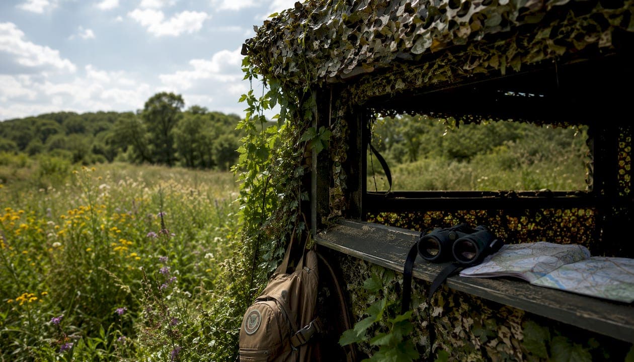 What Is a Wildlife Hide? Your Safari Observation Guide
